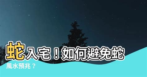 路邊看到蛇|深夜蛇入宅，風水大師解析